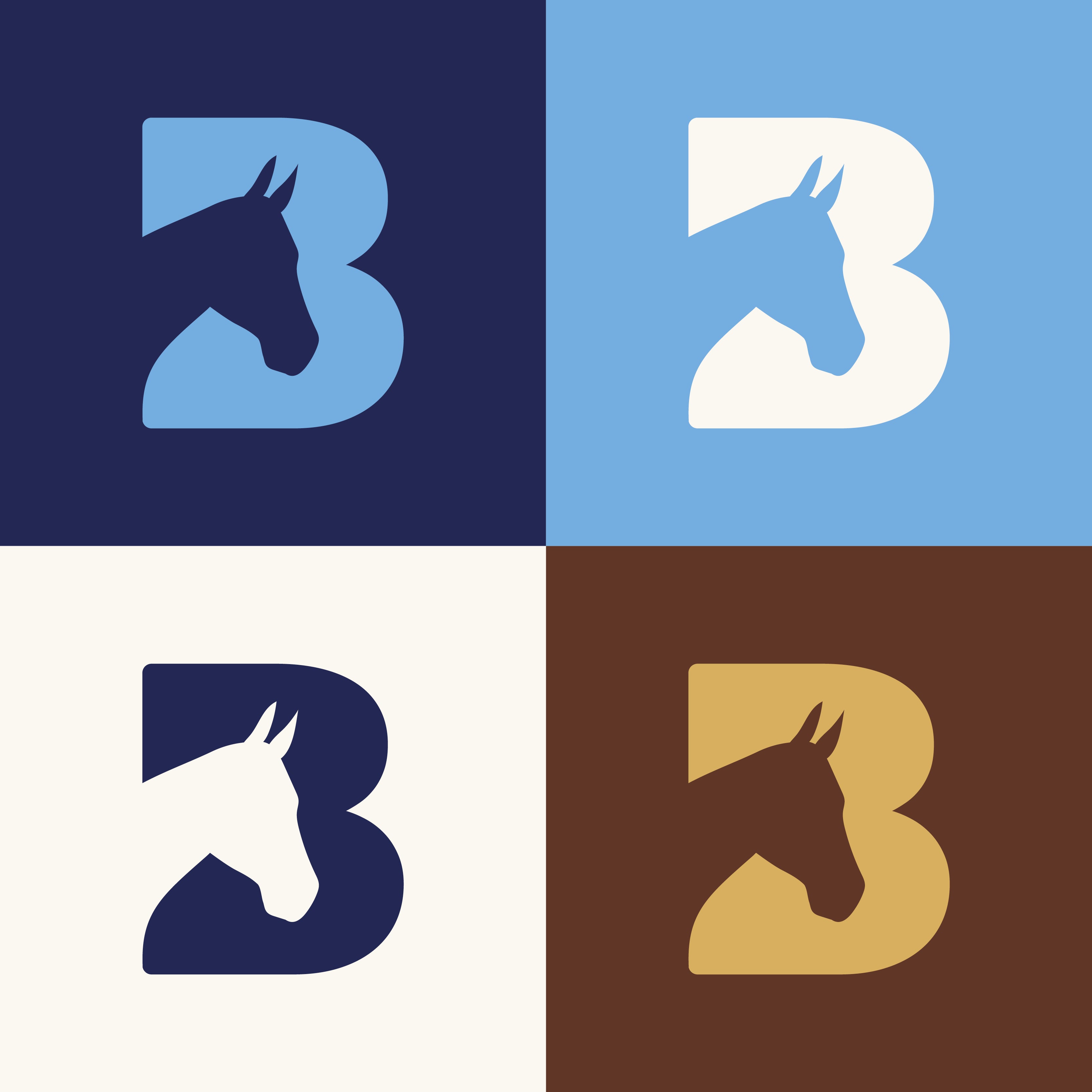 Bransby Horses Icon Designs